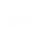 Mr. Green logo